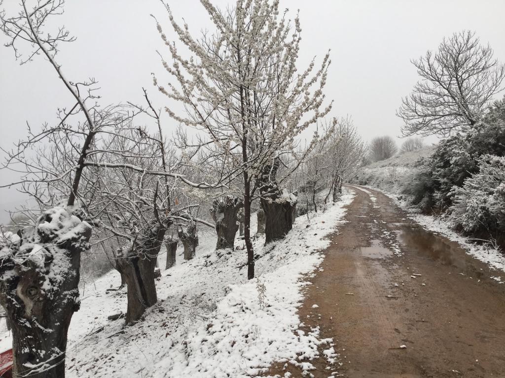 Hotel Rural El Lagar De Las Medulas Orellán Εξωτερικό φωτογραφία